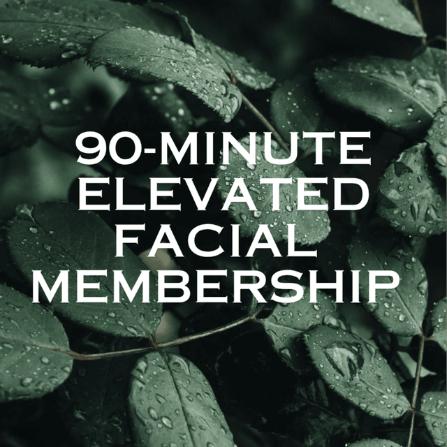 Elevated Facial Membership at Muse Beauty Bar in Downingtown, PA